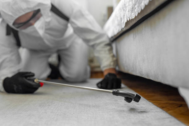 Professional Emergency Pest Control technician working in Skamania County County, WA